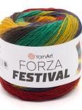FORZA  FESTIVAL