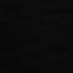 Цвет: Черный (53)